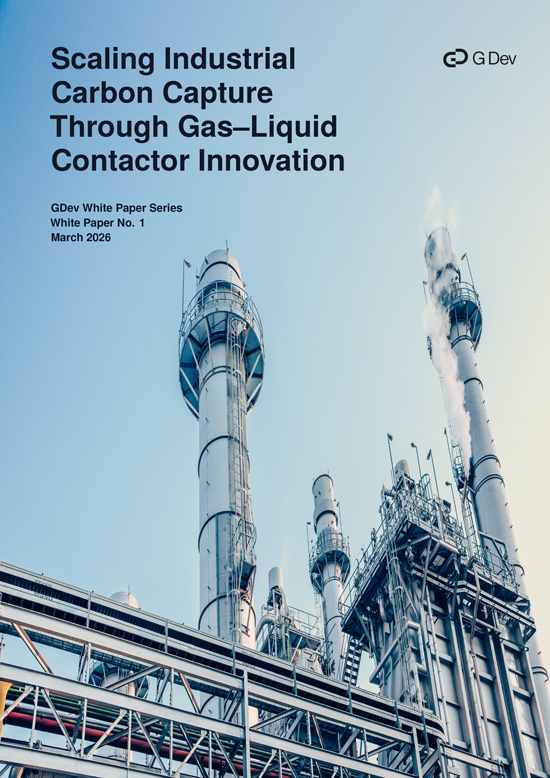 Cover image of GDev White Paper Series No.1